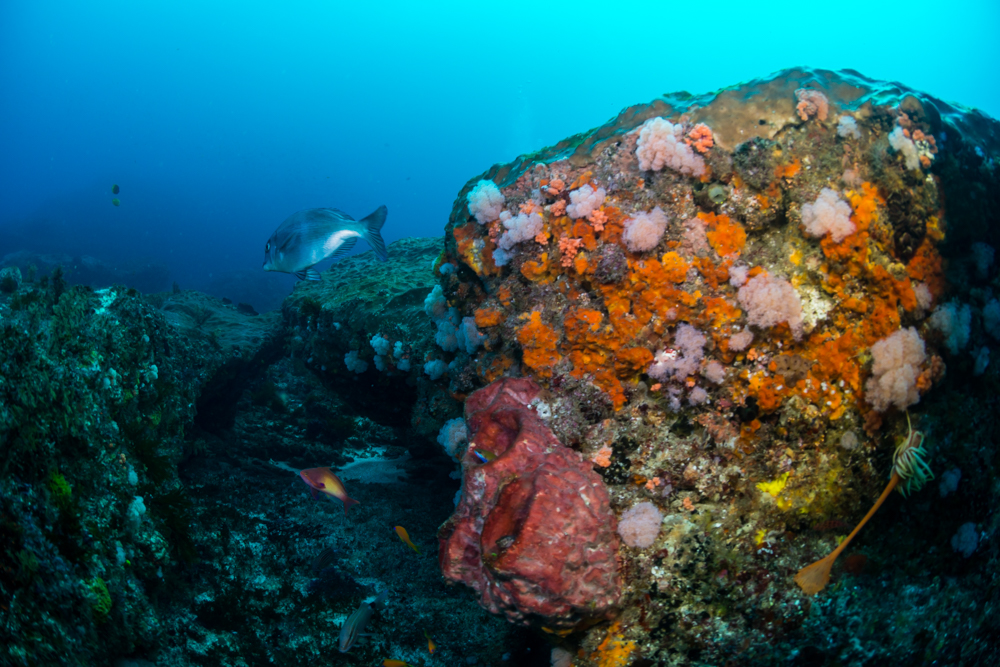 1544595437223356.png 圖片1.png