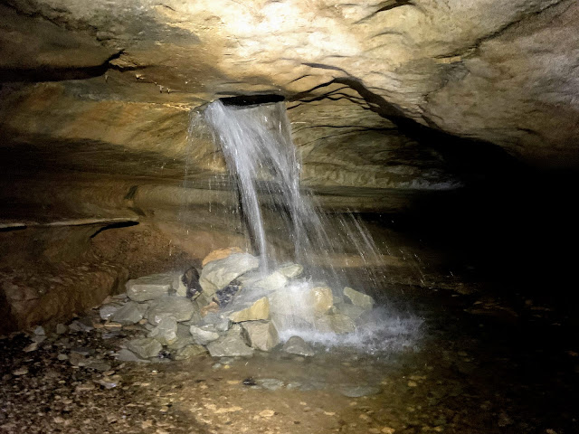 1546829683561846.jpg 5.jpg