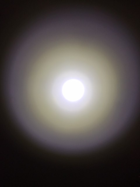 1564026134232119.jpg 67526841_495438594540836_7175417371107000320_n.jpg