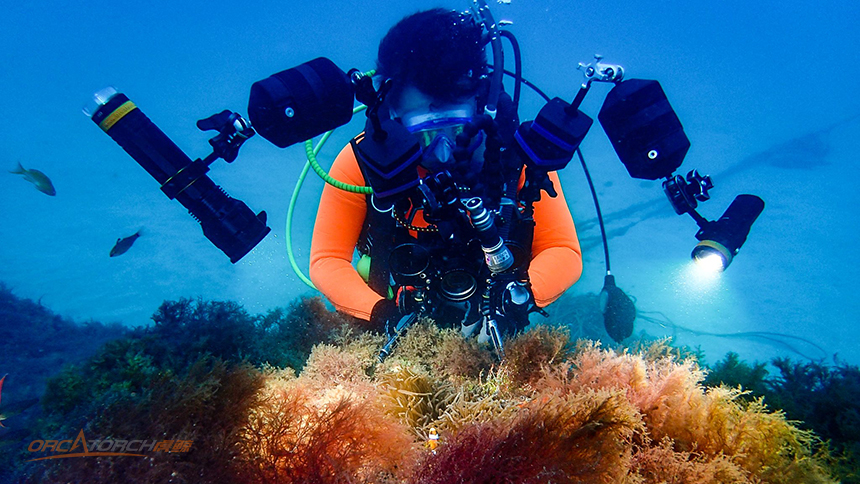 1612436062116470.jpg 4-(3).jpg