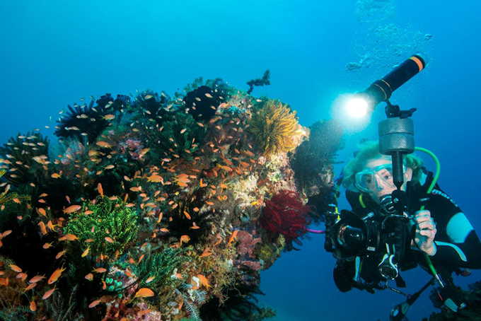 1623977781516904.jpg 002-01.jpg