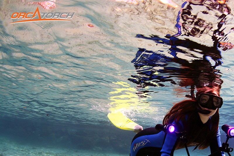 潛水燈(dēng)-潛水手電筒-潛水攝(shè)影燈-水下工程照明-OrcaTorch草莓视频官网 潛(qián)水(shuǐ)燈-潛水手電筒-潛水攝(shè)影燈-水下工程照明-OrcaTorch草莓视频官网