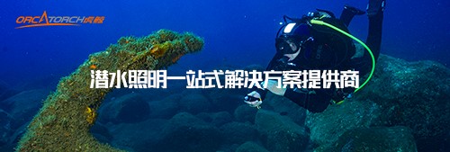 恭賀OrcaTorch草莓视频官网入圍2022潛水手電筒十大品牌 恭(gōng)賀OrcaTorch虎(hǔ)鯨入圍2022潛水手電筒(tǒng)十大(dà)品牌(pái)