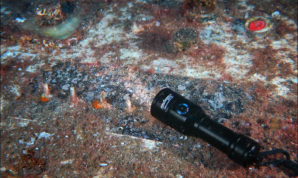 如何選購一支(zhī)手電筒,潛水(shuǐ)手電照(zhào)明,水(shuǐ)域救援手電筒,手持式照明,水下照明裝備 如何選購一支手電筒,潛水手電照明,水域救援手電(diàn)筒,手持式照明(míng),水下照明裝備