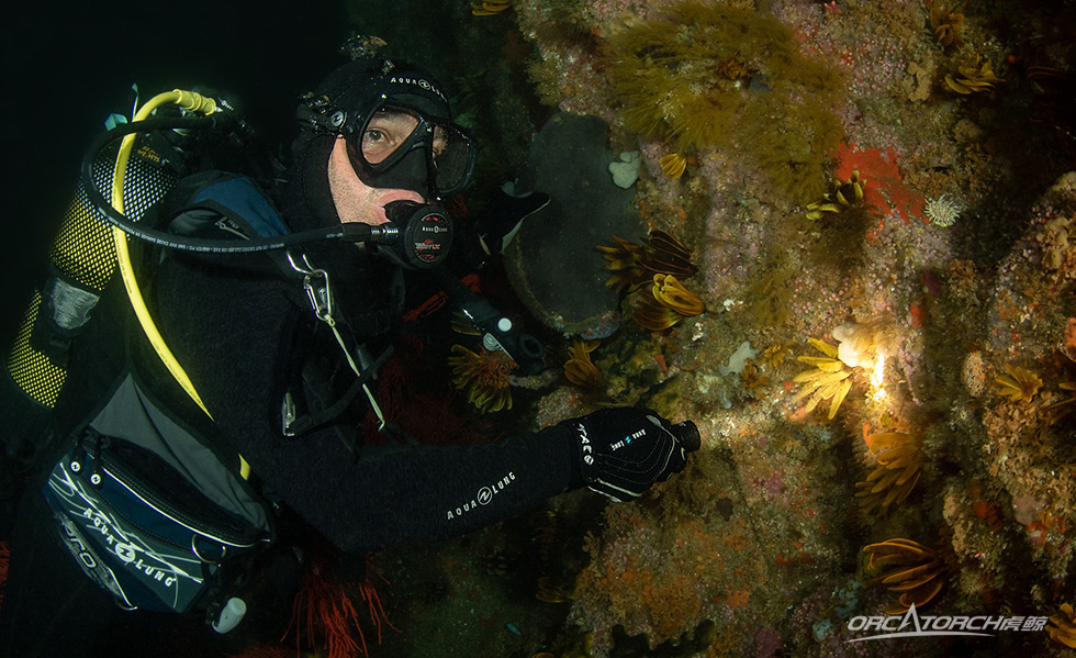 【潛水裝(zhuāng)備】一支激光(guāng)+強光(guāng)的潛水手電筒 【潛水裝備】一支激光+強光的潛水手(shǒu)電筒