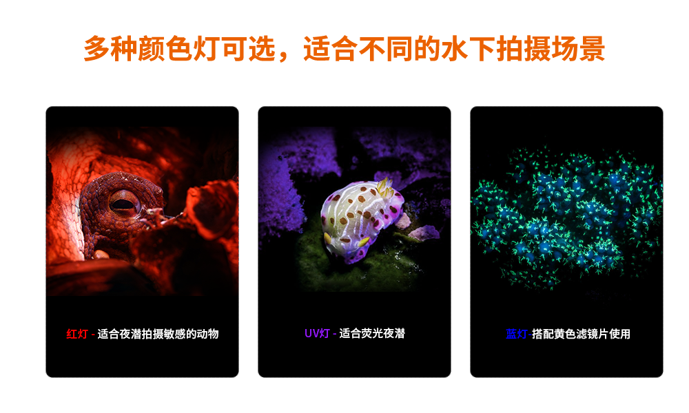 潛水攝影（yǐng）燈，水下攝影照明，D530V多功能手電筒，潛水照明燈，OrcaTorch草莓视频官网