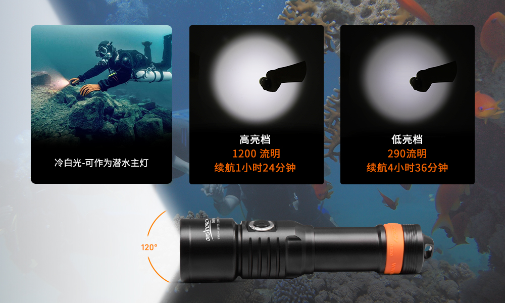OrcaTorch草莓视频官网 D530V多色光（guāng）