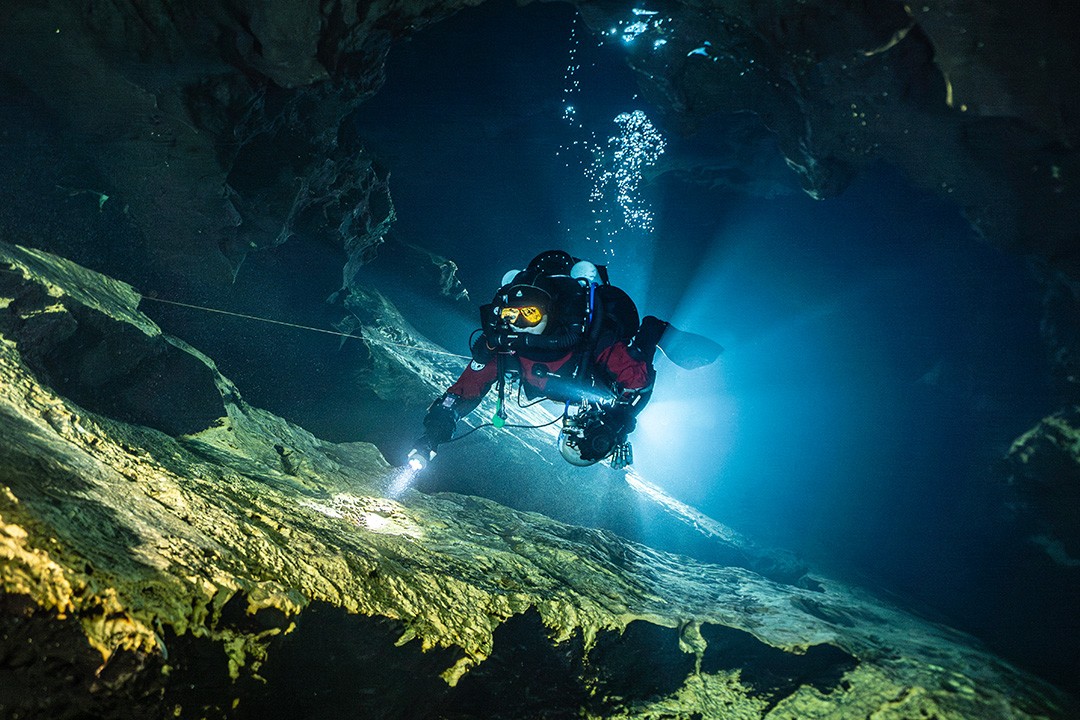 品牌大使(shǐ)|周蓓莉(Belinda)