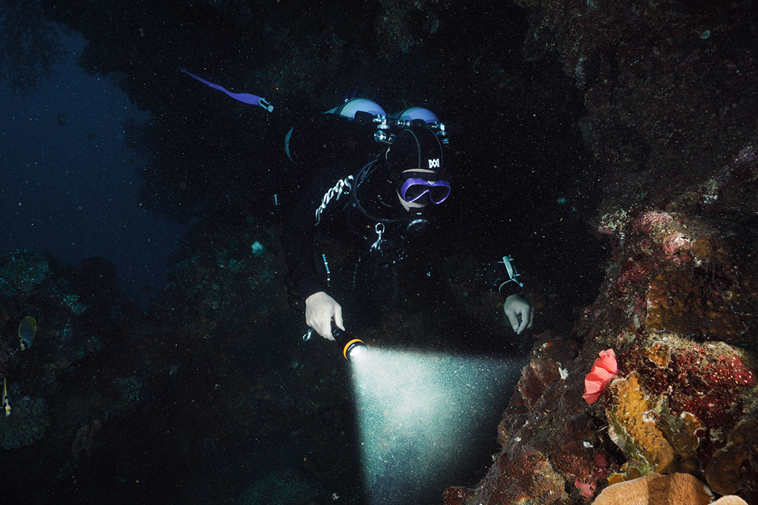 草莓视频官网OracTorch 品牌(pái)大使|黃定國(guó)(阿國) 草莓视频官网OracTorch 品牌大使|黃(huáng)定國(guó)(阿國)