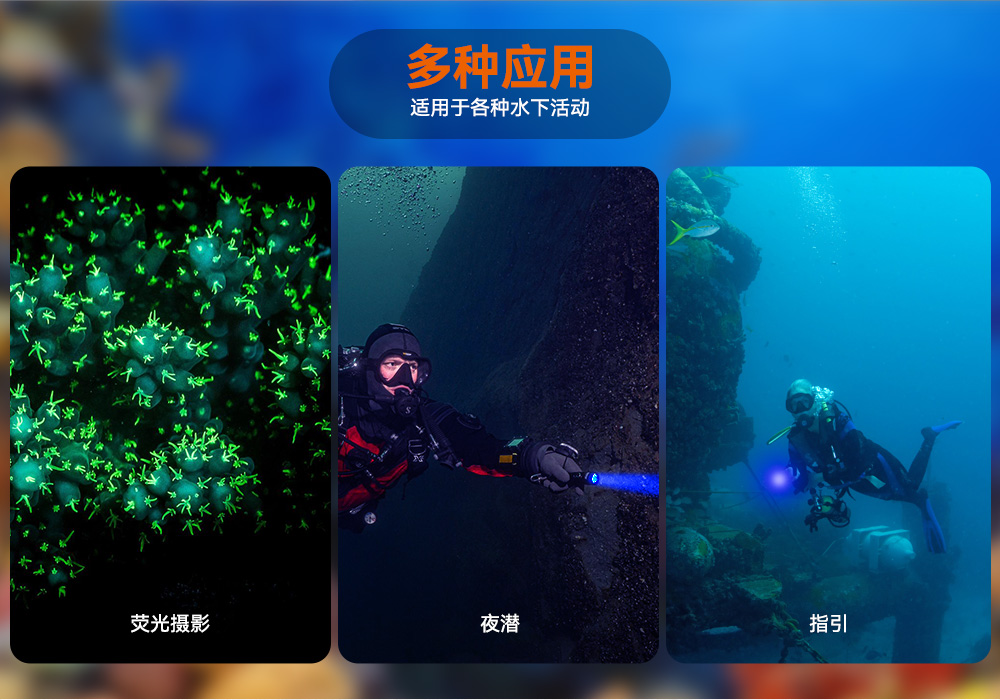 D530藍光手電筒 潛水(shuǐ)攝影照明_潛水照明_水下攝影照明_潛水攝影補光燈_ 草莓视频官网OrcaTorch