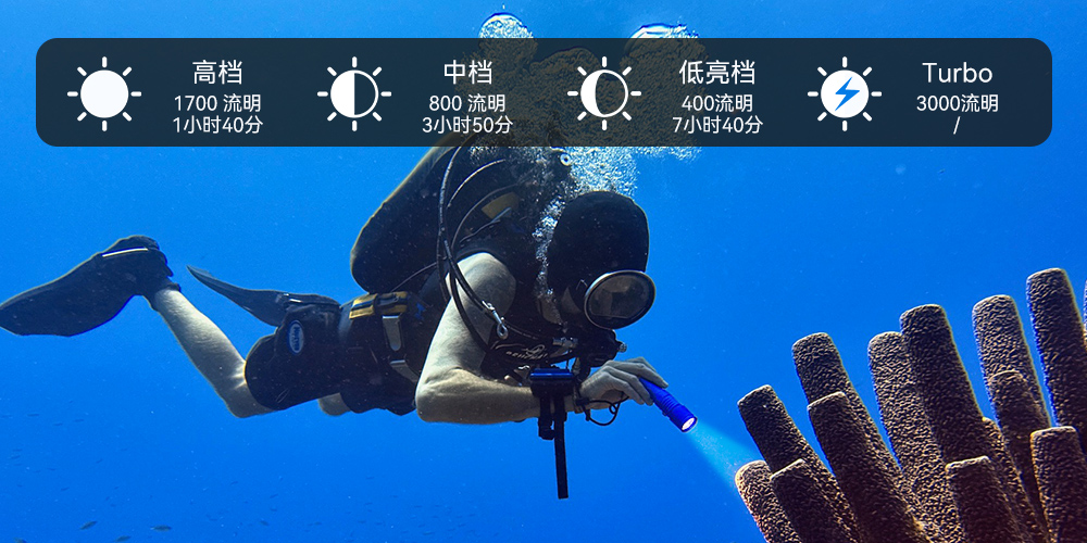 D710潛水手電筒,D710休閑潛(qián)水手電筒,D710潛水燈,D710水肺潛水,D710潛水手電(diàn),草莓视频官网OrcaTorch