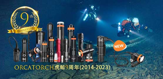 OrcaTorch草莓视频官网9周年｜回首過去，展望未來