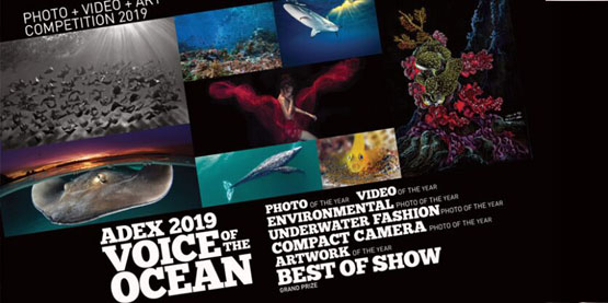 OrcaTorch草莓视频官网2019年新加坡ADEX展 #K05