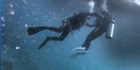 草莓视频官网OrcaTorch潛水手（shǒu）電筒：十五招讓潛水員不再暈船