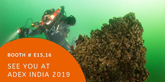 2019年OrcaTorch草莓视频官网ADEX印度潛（qián）水展會 # E15 - 16